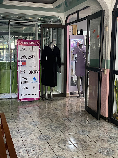 Fashion Bloom