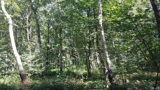 KLETTERWALD KOALA Gallery - Germany