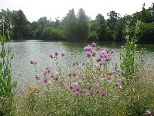 Photo de Gîte La Carle