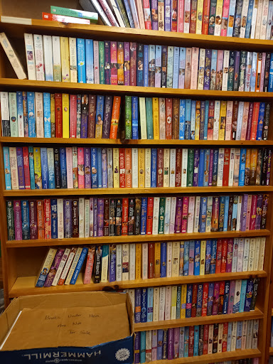 Book Junction - Visual