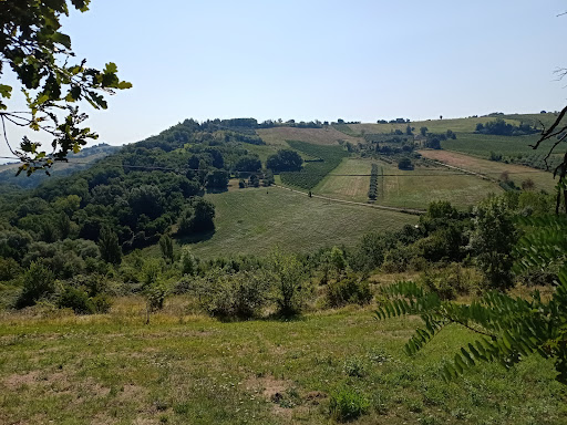 Montecarotto (Centro) - Visual