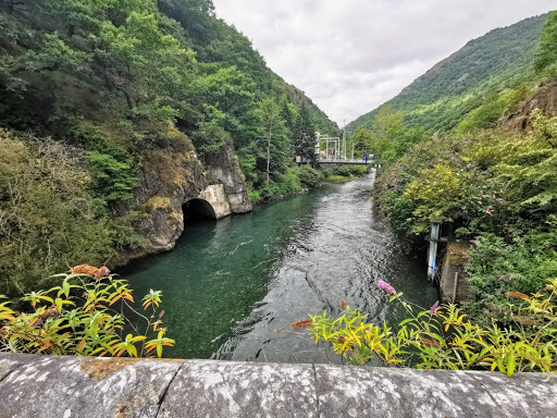Pont de Rei