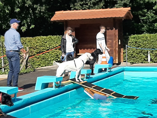 Bad Oeynhausen pool - Thumbnail