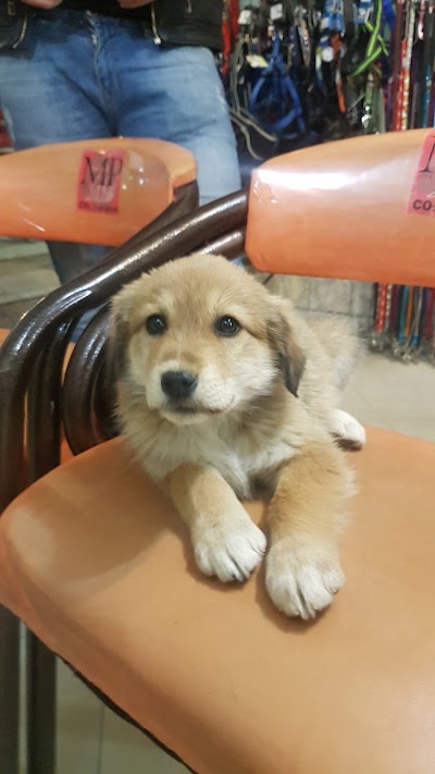 Photos of Aftab Pet Clinic