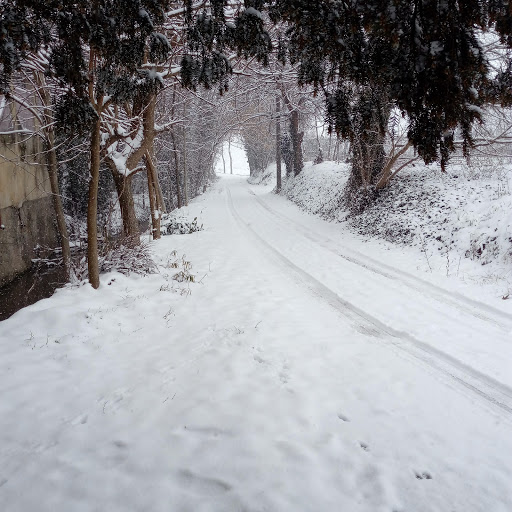 Municipality - Visual
