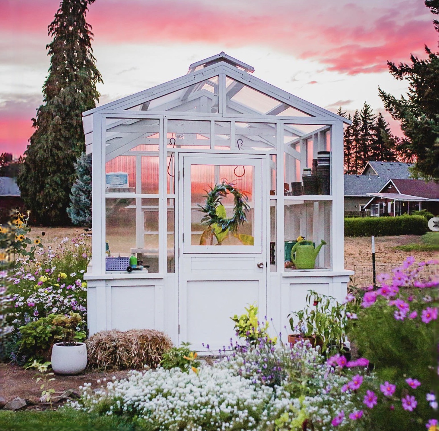 Greenhouses by NWGP