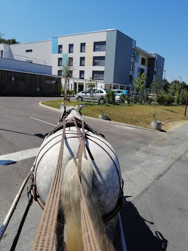 Photo de Ehpad Korian Bellevue à Fourques-sur-Garonne (47200)