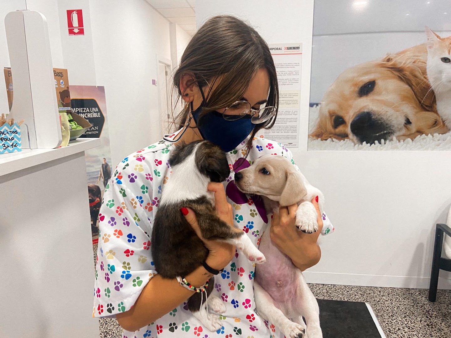 Clinica Veterinaria La Feria
