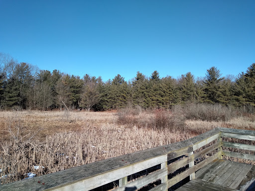 Henderson Lake Disc Golf Course - Thumbnail