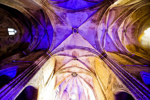 Photo n°43 de D10 PRODUCTION : D.J, SONORISATION, ECLAIRAGE MONTPELLIER à Baillargues (Fournisseur de matériel d'éclairage scénique)