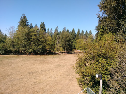 North Bonson Park - Thumbnail