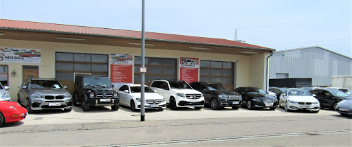 LS MOBILE - Visual