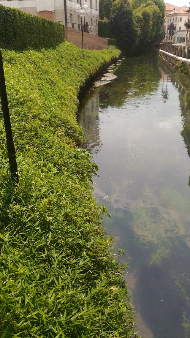 Fondazione Benetton Studi Ricerche