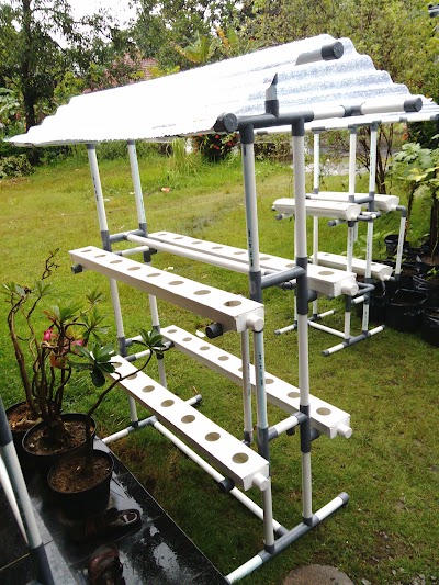 Photos of Maulana Agro
