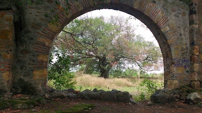 Photos of Hacienda Cuautepec