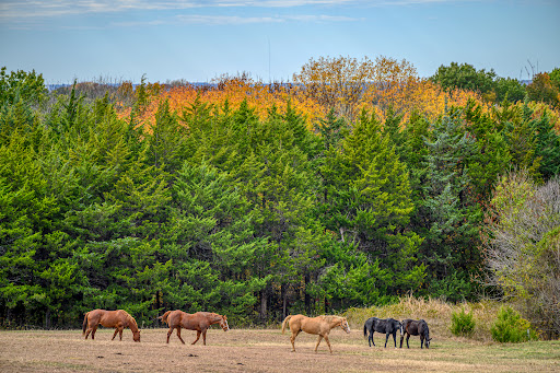 2R Ranch & Equestrian Center - Thumbnail