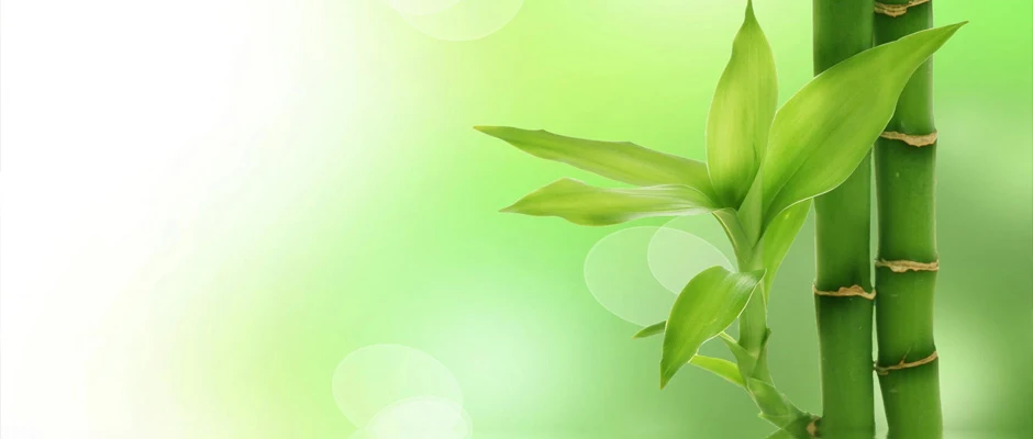 Organicos - Natural Health Center