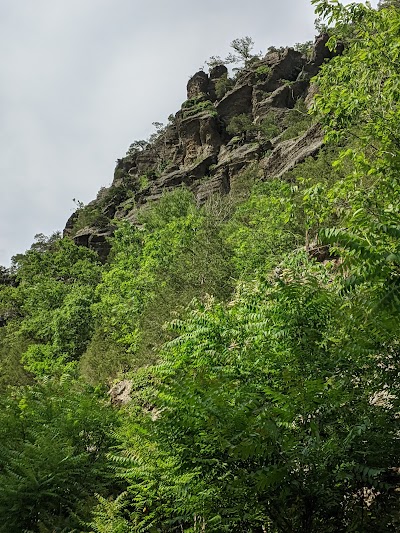 Intervale Trailhead