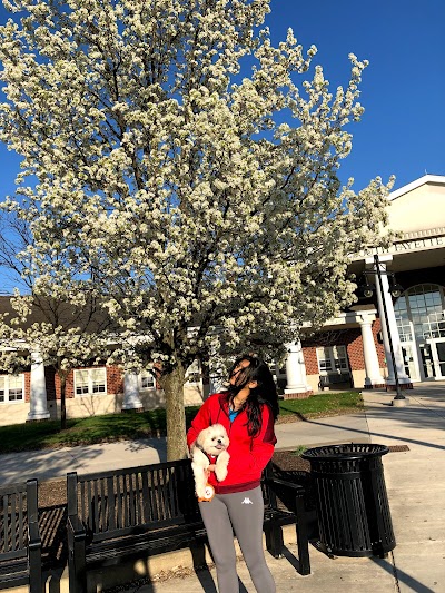 South Fayette Middle School