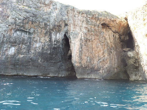 the Seagull Cliff - Thumbnail