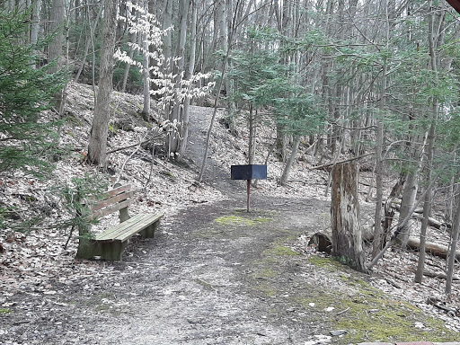 Hopewell Park / Danville Borough Farm Trail System - Thumbnail