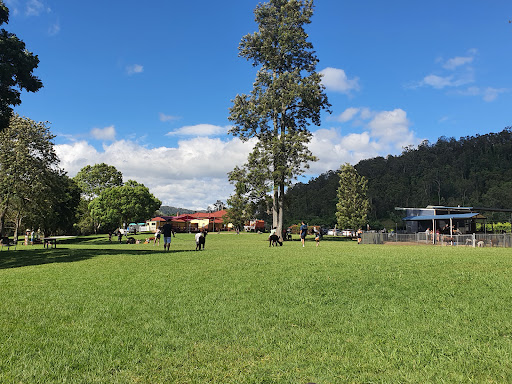 O'Reilly's Canungra Valley Vineyards - Thumbnail