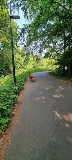 Hondenpark Vroondaal - Thumbnail