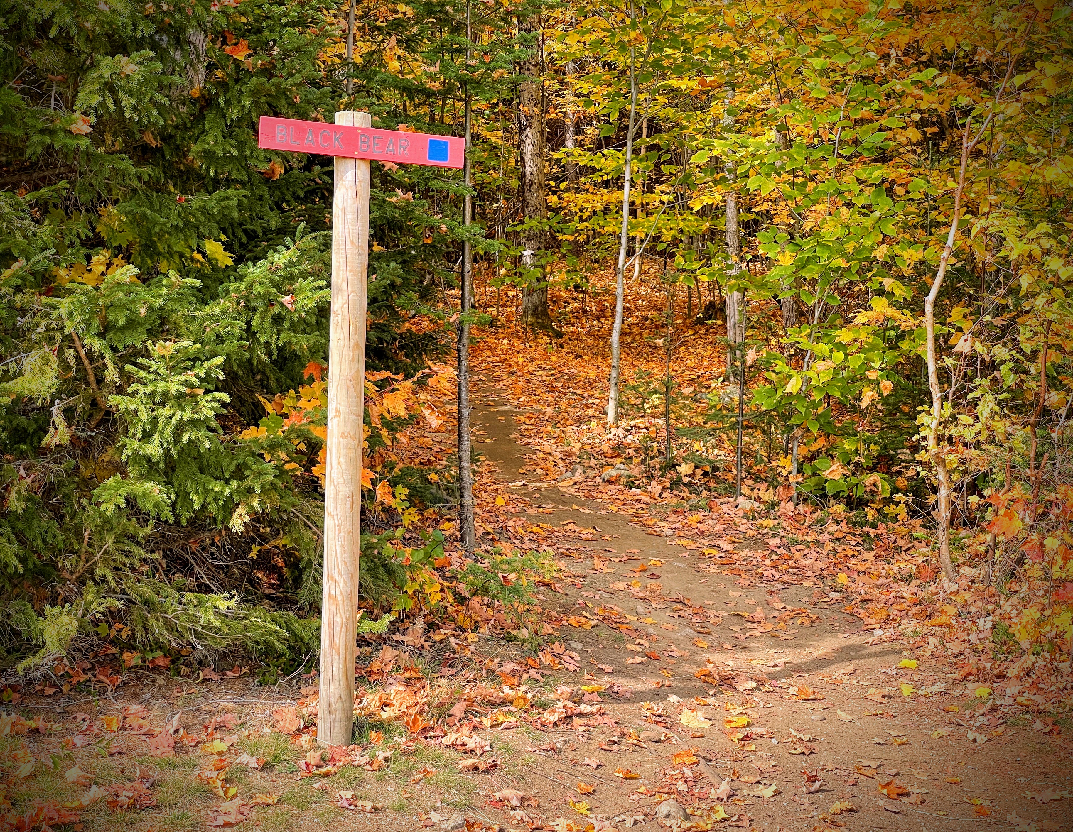 Kingdom Trails