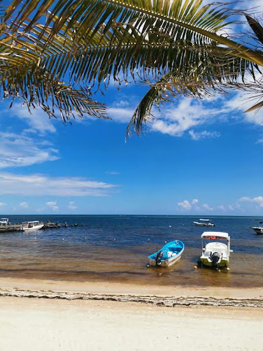 National Reef Park Of Puerto Morelos - Thumbnail