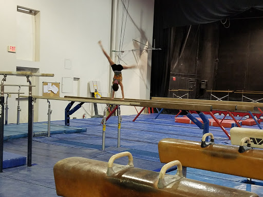 GYMCATS - Thumbnail