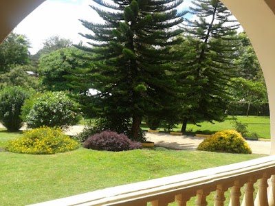 Photos of Ridgeways Pine Creek Gardens