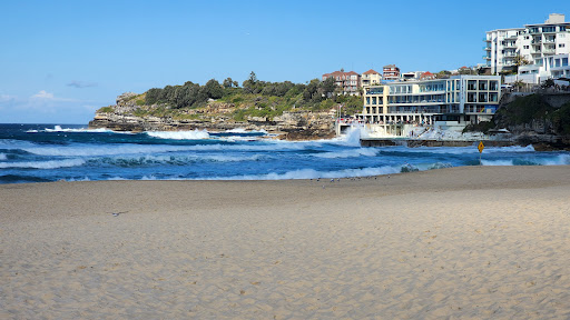 Bondi Murals - Thumbnail