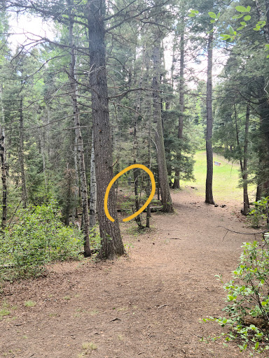 Sipapu Disc Golf Course - Thumbnail