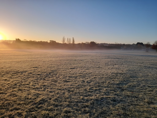 Polo Ground - Visual
