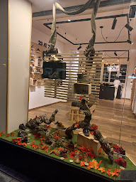 Photo n°6 de SCRATCH OU LACET ? à Flers (Magasin de chaussures)