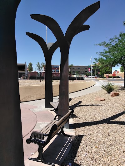 Dr Martin Luther King Jr Streetscape