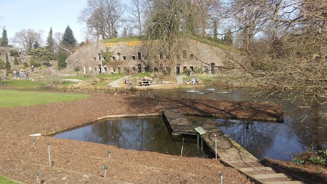 Utrecht Botanic Gardens