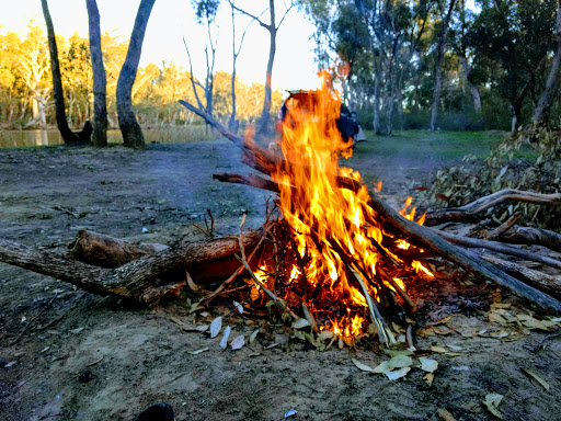 Gunbower National Park - Thumbnail
