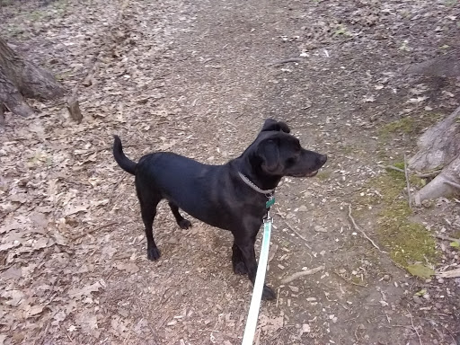 Jefferson Dog Park - Thumbnail