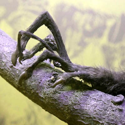Photos of Masoala National Park