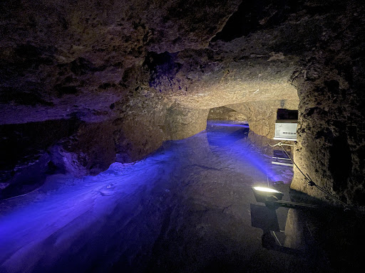 Altensteiner Höhle - Visual