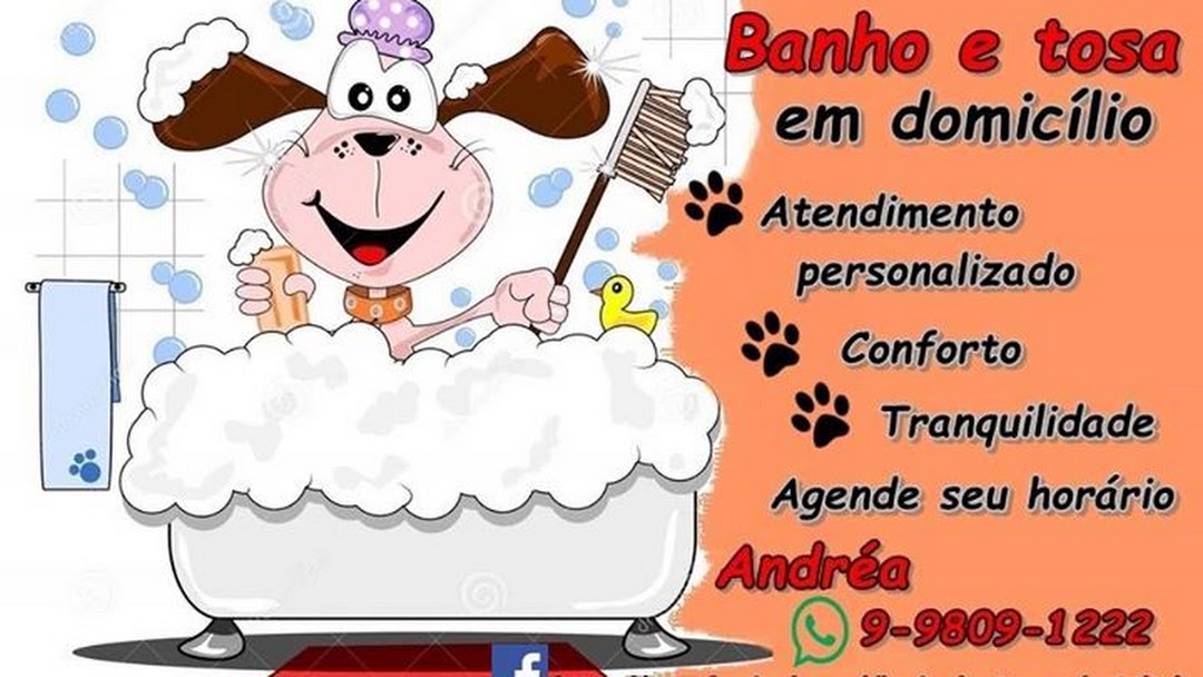 Telefone de Pet Shop Perto de Mim Banho e Tosa Vila José Bonifácio