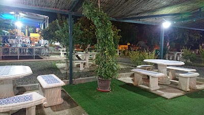 Photos of Thala Park