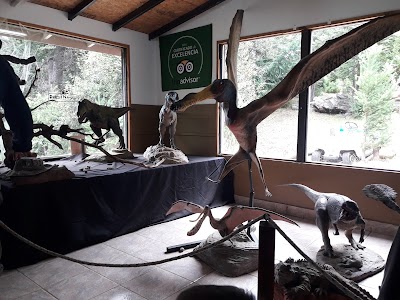 Photos of Parque Nahuelito