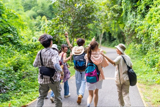 How School Tour Operators Help Plan Safer Educational Trips from Rajajinagar