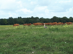 Photo n°6 de EARL DES BASSES VALLÉES à Cantenay-Épinard (Siège social)
