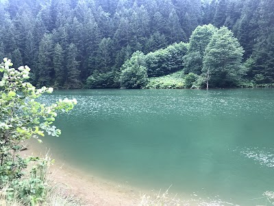 Uzungol Lake