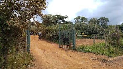 Photos of Elephant and Rhino Nursery