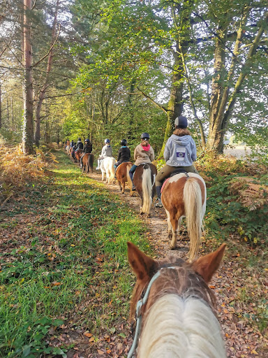 Farm Equestre Du Tréglodé - Thumbnail
