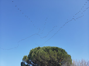 Photo n°12 de YGEIA Chambres d'hôtes à Flaujagues (Chambre d'hôtes)